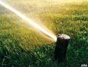 Installed sprinkler head watering the front lawn